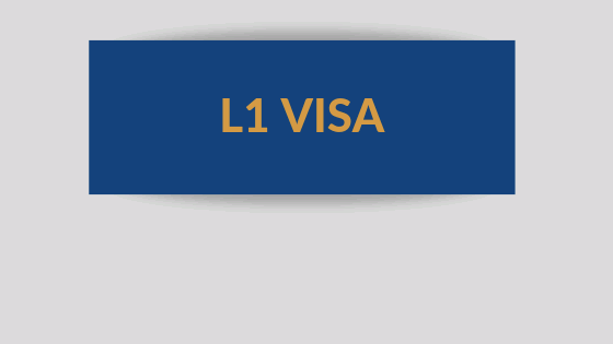 L1A VS L1B VISA
